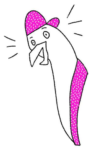 Illustration of a suprised looking seagul